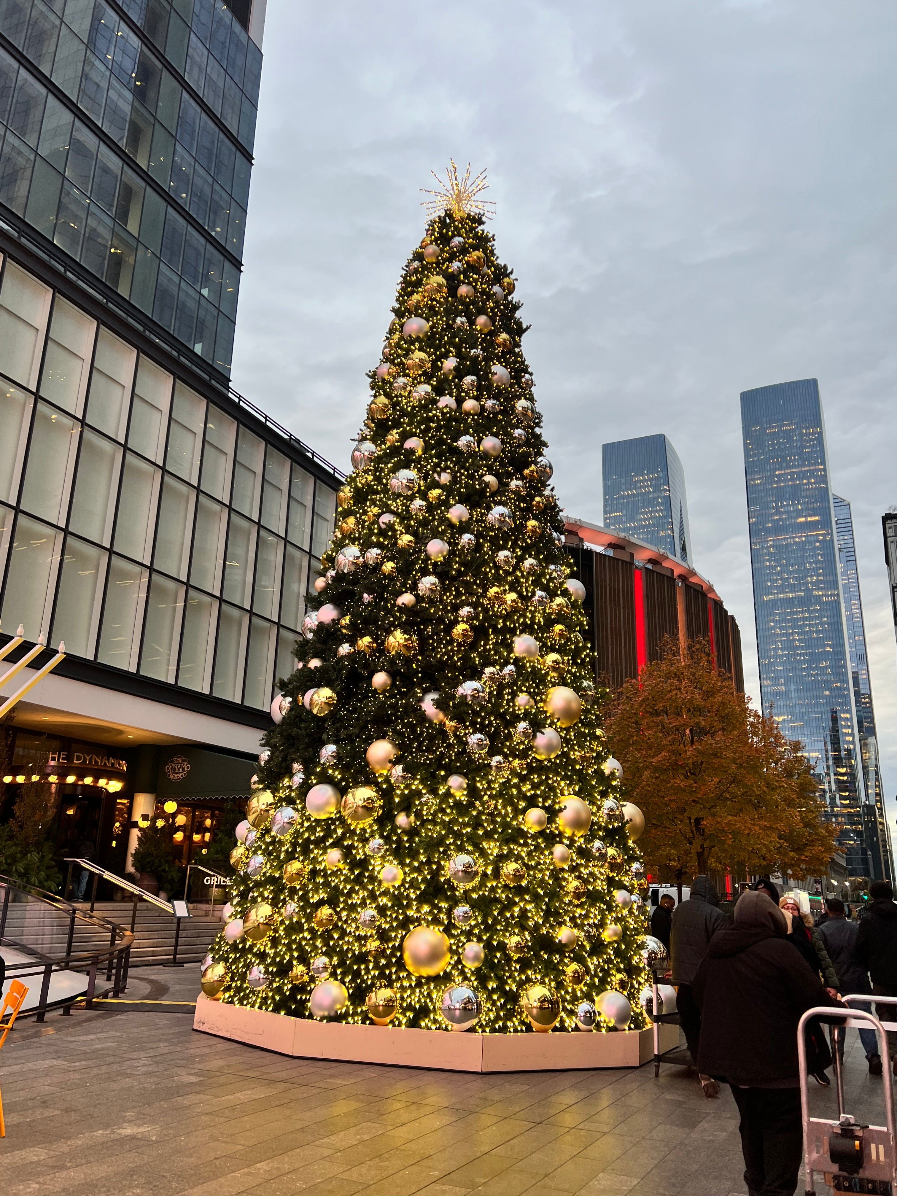Siberian Sturgeon Caviar ( Full Tasting Set )