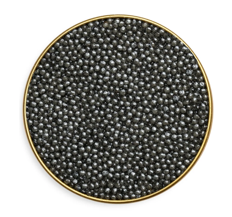 ROYAL SEVRUGA CAVIAR