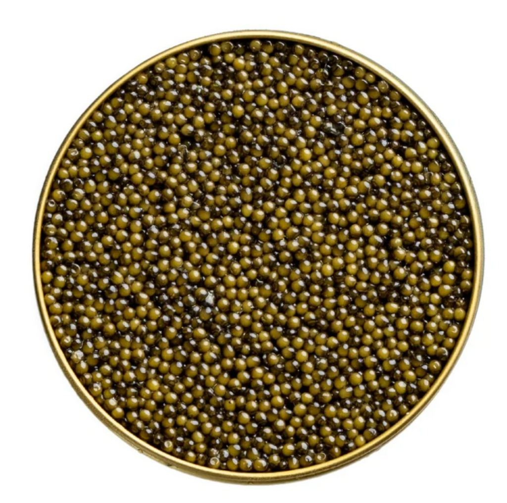 OSETRA RESERVE CAVIAR