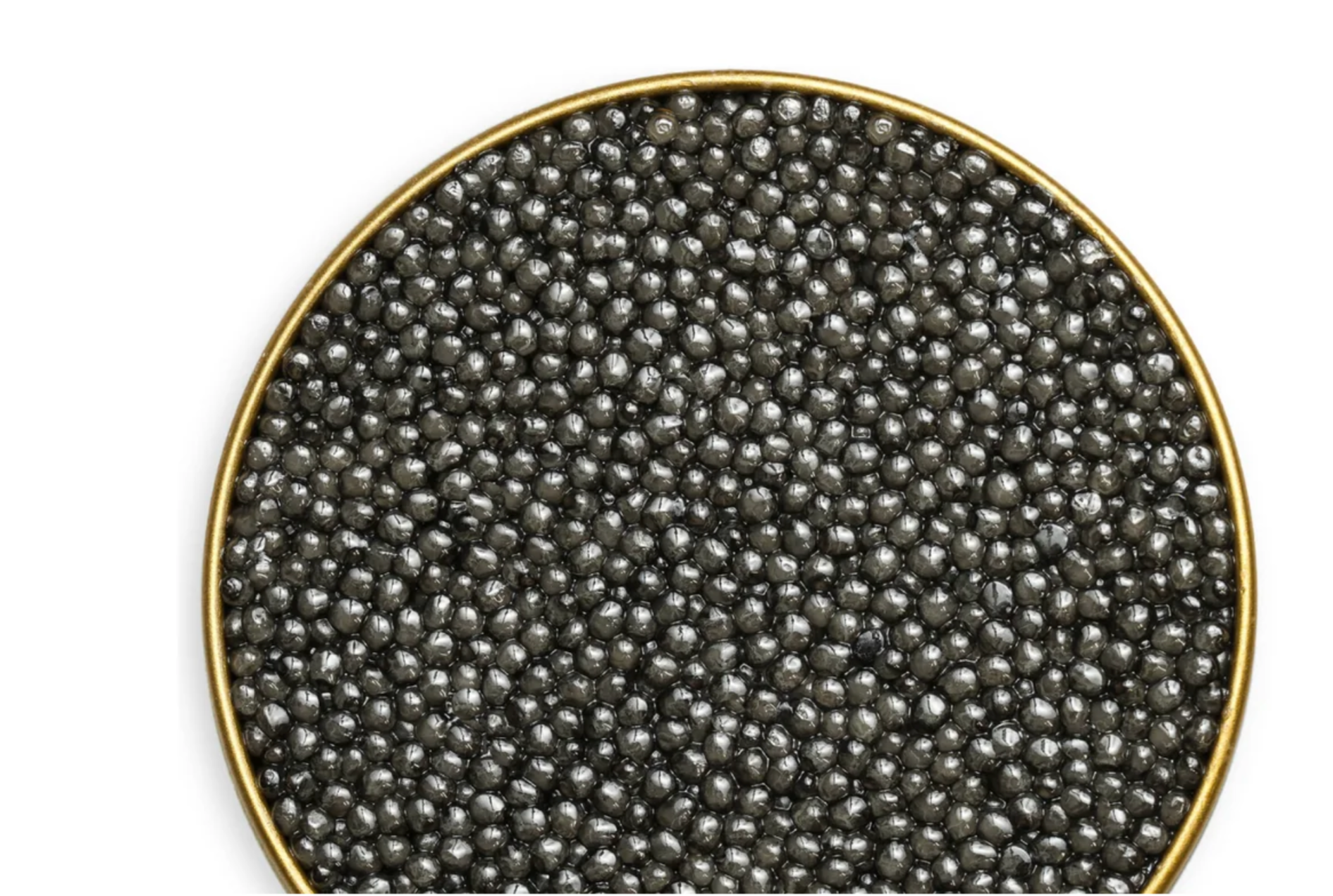 Royal Beluga Caviar