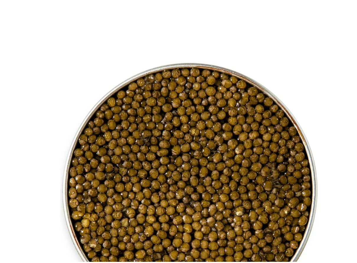 Kaluga Classic Caviar