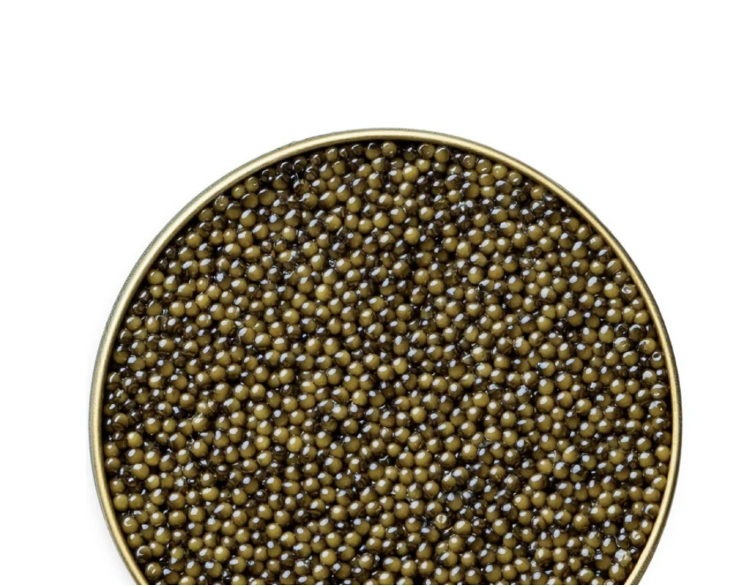 OSETRA CLASSIC CAVIAR