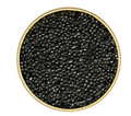 White Sturgeon Caviar