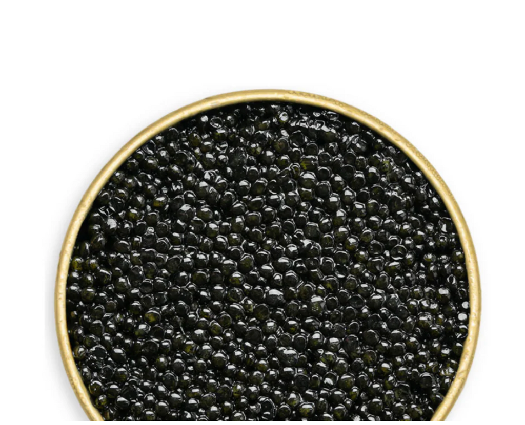 White Sturgeon Caviar