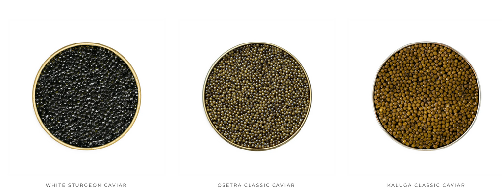 Carnival Celebration 5 Tin Caviar Gift Set with Truffle Butter and Premium Package ( Charity Special Edition )